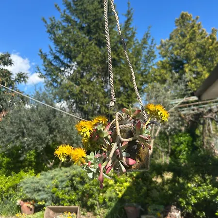 Nonno Gio Hébergement de vacances *