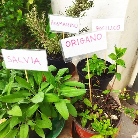 Nonno Gio Holiday home Sulmona