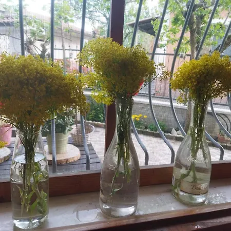 Nonno Gio Holiday home Sulmona