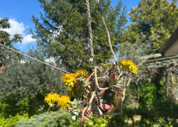 Nonno Gio Сasa de vacaciones *