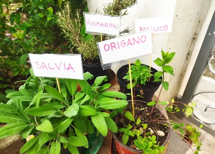 Nonno Gio Сasa de vacaciones Sulmona