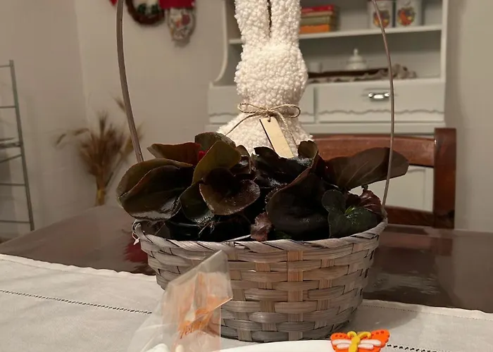 Nonno Gio Сasa de vacaciones *